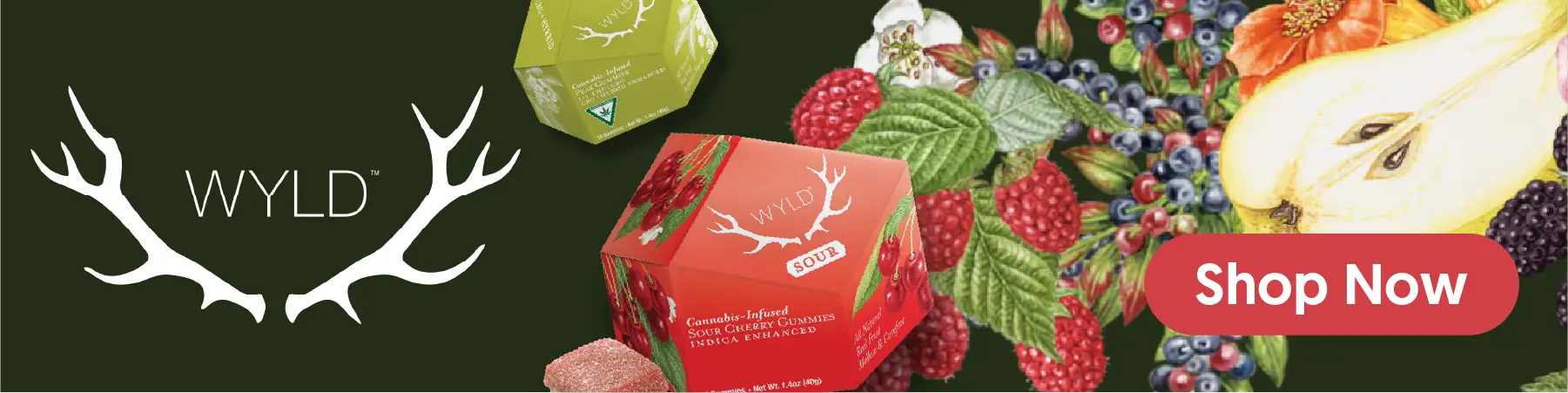 Edibles Category - Wyld Promo