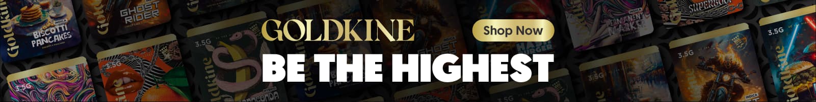Category | Flower - Goldkine